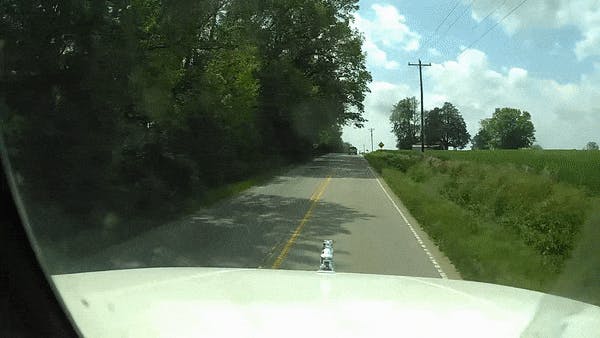Dash cam video pedestrian accident